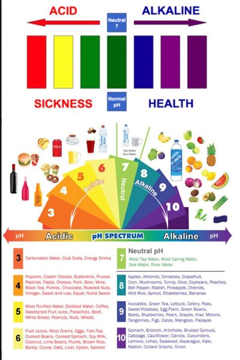 Alkaline & Acidic Foods Chart The Ph Spectrum