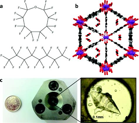 Perfluorocarbon liquid under pressure: a medium for gas delivery ...