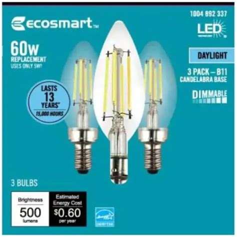 EcoSmart 40-Watt Equivalent G25 Globe Dimmable Energy Star Clear Glass ...