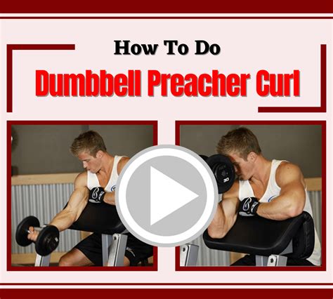 Dumbbell Preacher Curl - Biceps exercise - aestheticbeats