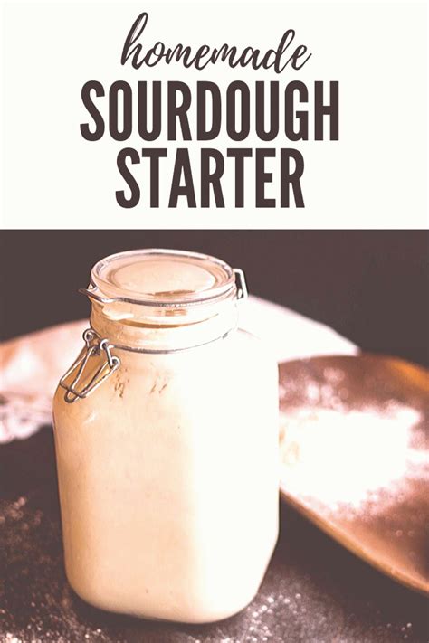 Get Buy San Francisco Sourdough Starter Background - Sourdough Bread Starter