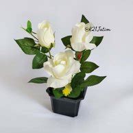Paling Bagus 23+ Gambar Bunga Putih Hitam - Gambar Bunga Indah