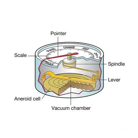 Parts Of Aneroid Barometer