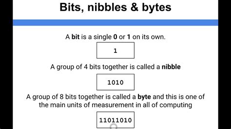 Bits And Bytes 8 Bit