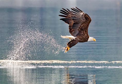 Morley Nelson Snake River Birds of Prey National Conservation Area