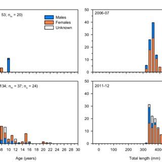 Age (left) and size structures (right) for golden perch from commercial ...