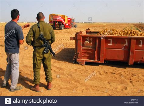 Israel Defense Force Tells Kibbutz Volunteers Not to Work Stock Photo, Royalty Free Image ...