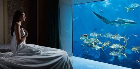 Underwater Hotels Around the World - Prices - Booking - Reviews