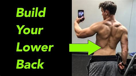 Top 5 Exercises for Lower Back (At Gym AND HOME) - YouTube