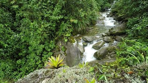 Waterfall On the Amazon River, Stock Footage Video (100% Royalty-free) 14443960