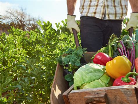 Food for Health: Considering the Nutrient Density of Food Crops | The Institute for Functional ...