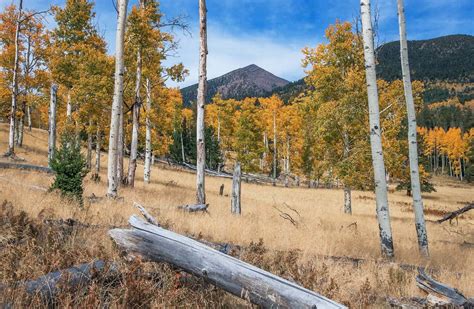 30 Best Flagstaff Hikes: Explore the Arizona High Country