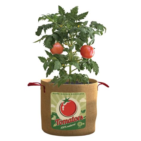 Tomatoes Grow Bag 20 Gal - Hydrofarm Canada