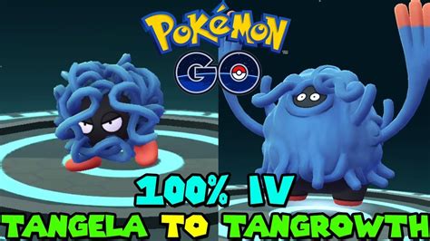 Evolving TANGELA TO TANGROWTH IN POKEMON GO - NEW SHINNOH STONE EVOLUTION - YouTube