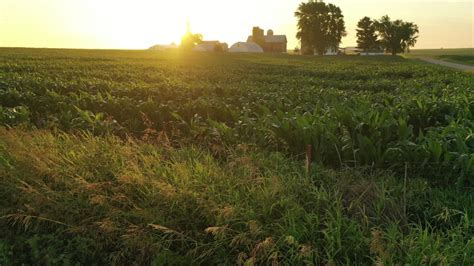 State Farm Stock Video Footage - 4K and HD Video Clips | Shutterstock