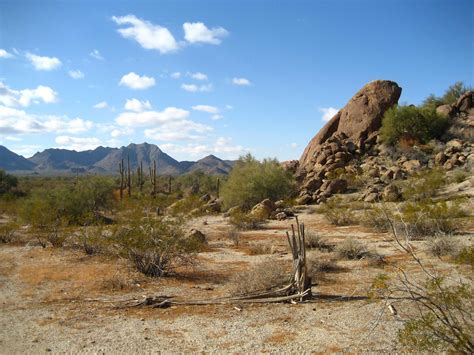 Sonoran Desert | One Earth