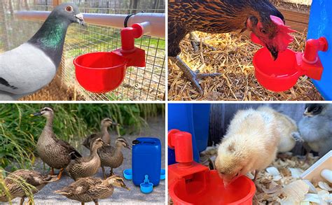 Amazon.com: 24PCS Chicken Water Cups with PVC Tee Fittings, Automatic ...