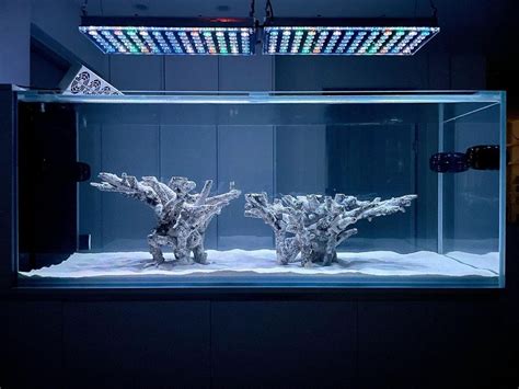 Intermediate Topic - Most beautiful aquascape reef tanks – Atlantik iCon LED lighting ...