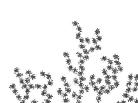 Two examples of choral formation for representative examples of ...