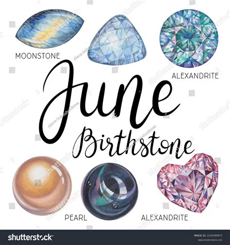 1 Pearl Alexandrite Birthstone Hand Drawn Stock Illustrations, Images & Vectors | Shutterstock