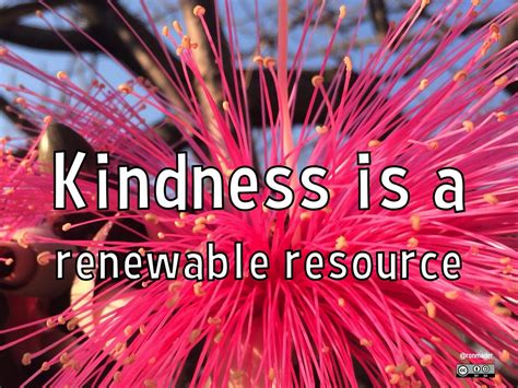 Translating: Kindness is a renewable resource | Translating:… | Flickr