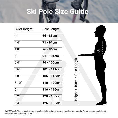 Leki Futura Nordic Touring Ski Poles - Complete Outdoors NZ