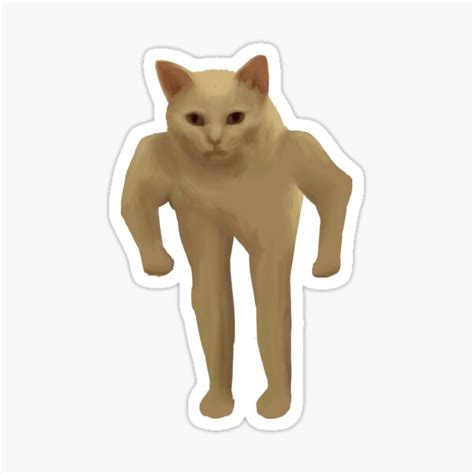 "Buff Half Cat Meme" Sticker for Sale by ceilrstt | Redbubble