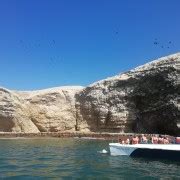 From Lima: Ballestas Islands, Paracas Reserve & Museum Tour | GetYourGuide