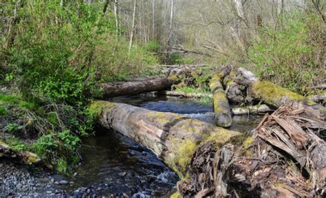 state parks near des moines washington Archives - Greenside Recreational