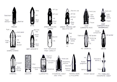 50636d1335639909-where-do-i-learn-about-rifle-calibers-bullet-type.gif (1710×1192) | Taxonomias ...