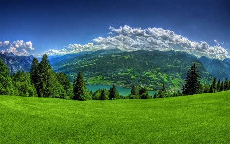 Green Pastures Wallpapers - Top Free Green Pastures Backgrounds - WallpaperAccess