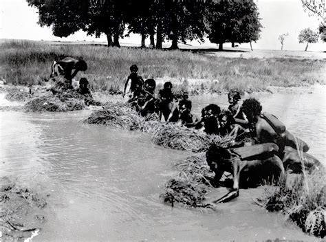 FISHING METHODS – Aboriginal Culture | INTRODUCTION TO AUSTRALIA'S ...