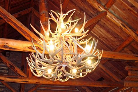 Shed Antler Art Creations That Caught Our Eye - Wide Open Spaces