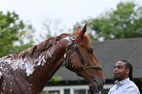 Derby Winner Rich Strike Arrives in New York for Belmont Stakes