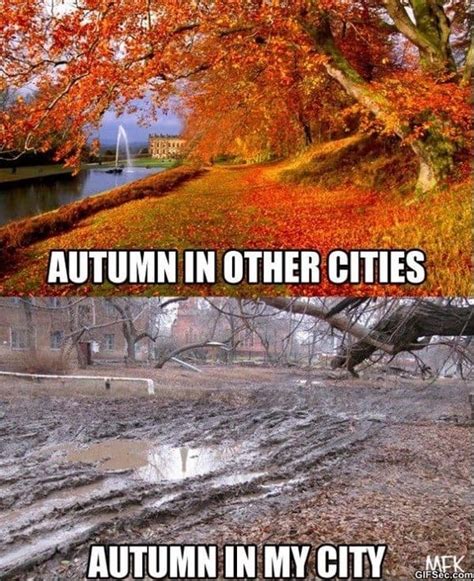 "Fall Memes" That Will Make You "Fall" in Love with Fall All Over Again