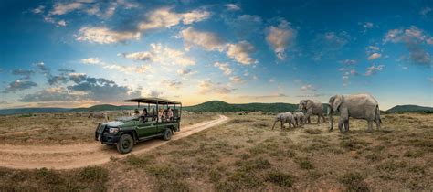 ARE KENYA SAFARI TOURS SAFE AFTER COVID-19? - Aard Wolf Africa Safaris