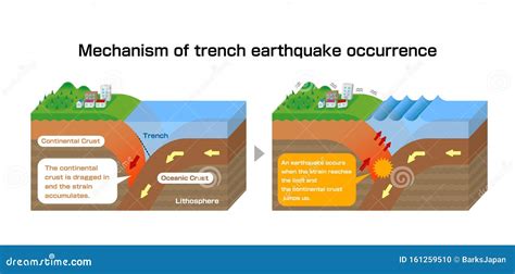 Diagram Of Earthquakes, Concept Of Seismic Activity. Vector Illustration | CartoonDealer.com ...