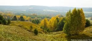 lithuania forest | Just Fun Facts