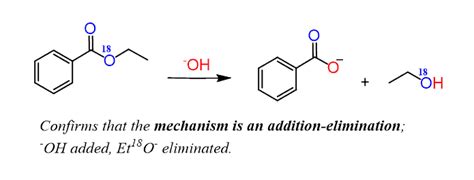 Ester Hydrolysis Mechanism