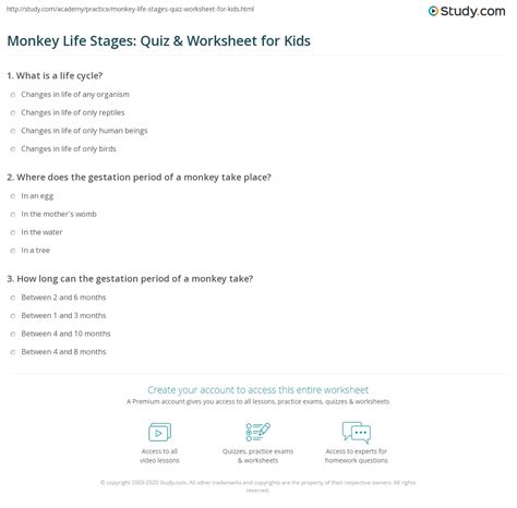 Monkey Life Stages: Quiz & Worksheet for Kids | Study.com