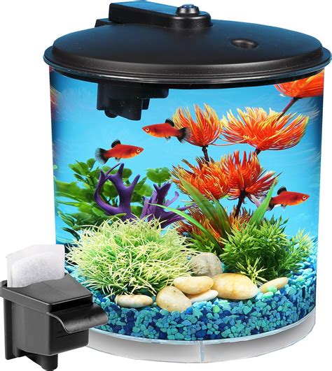 Best Fish Tanks for Kids 2020 - Get aquarium fish