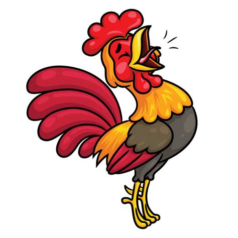 540+ Crowing Rooster Cartoons Stock Photos, Pictures & Royalty-Free Images - iStock