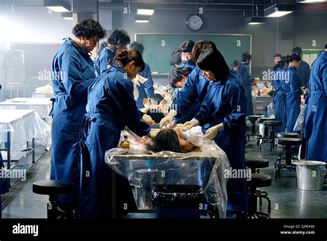 MEDICAL STUDENTS, CADAVER, 2009 Stock Photo - Alamy