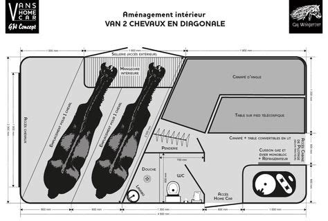 Layout plan for a lightweight (3.5t) horse trailer | Shipping in ...