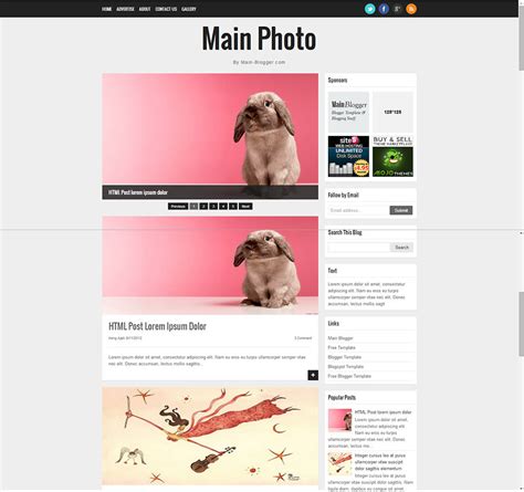 31+ Photography Blog Themes & Templates