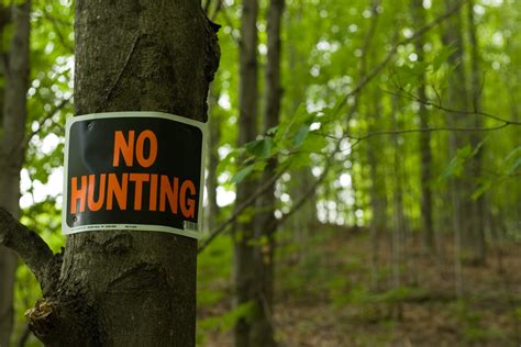 Lawsuit Against Sunday Hunting Ban Will Go to Maine's Highest Court ...