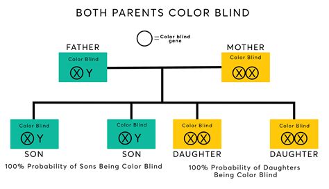 Can Women Be Color Blind | Can Women Have Color Blindness