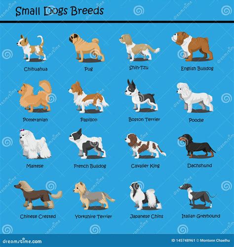 Pretty Dog Breeds