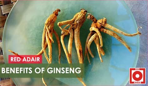 Ginseng Benefits - 7 [New] Health benefits and Effects