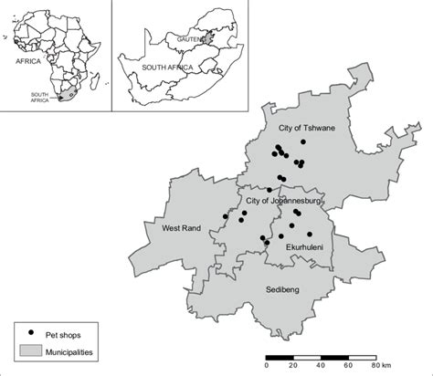 A map of Gauteng Province, South Africa (with inserts of the maps of ...